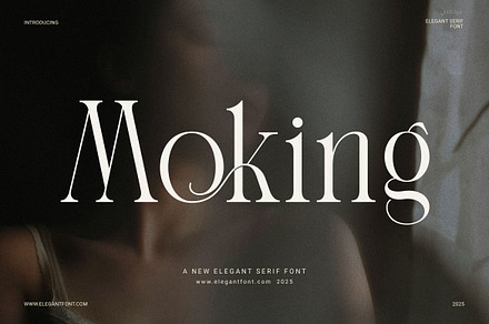Moking Elegant Serif Font
