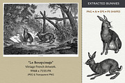 Vintage French Bunny Illustrations, an Animal Illustration by French Kiss Collections (Thumbnail 9 of 12)