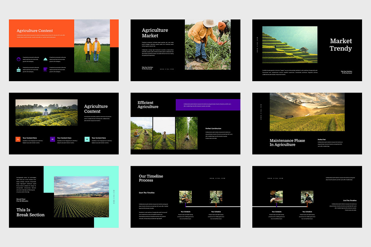 Hinu : Agriculture Google Slides, a Presentation Template by Punkl Camp (Photo 7 of 9)