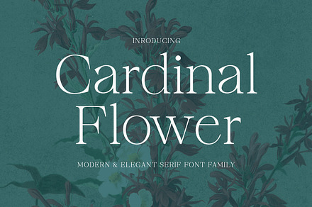 Cardinal Flower, a Serif Font by Typehill
