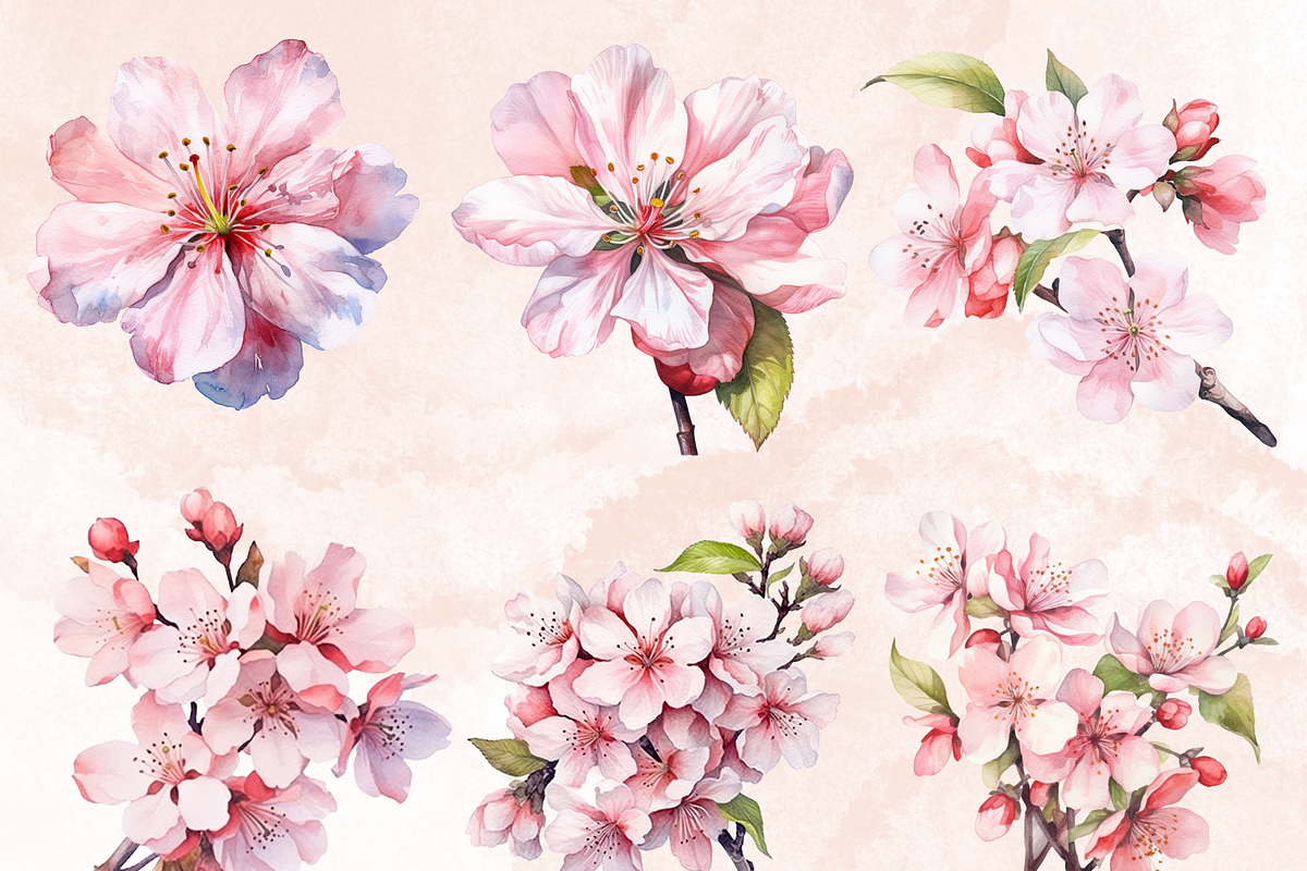 Watercolor Cherry Blossom Collection, a Decorative Illustration by GiraffeCreative (Photo 4 of 9)