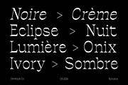 Ronders Reverse Contrast Font, a Serif Font by Genetype (Thumbnail 5 of 10)