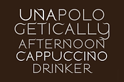 Windswept. Stunning sans serif font, a Sans Serif Font by LostandFoundry (Thumbnail 8 of 8)