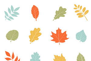 Vector Autumn Leaves.