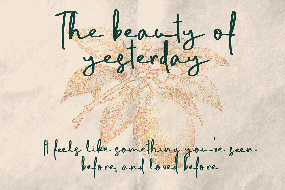 Seattles - Handwritten Script Font, a Handwritten Font by Vampstudio (Photo 5 of 11)