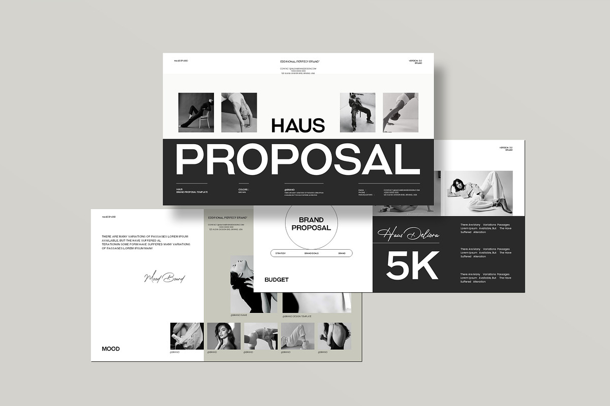 HAUS | Brand Proposal Presentation, a Presentation Template by Slide-Agency (Photo 6 of 11)