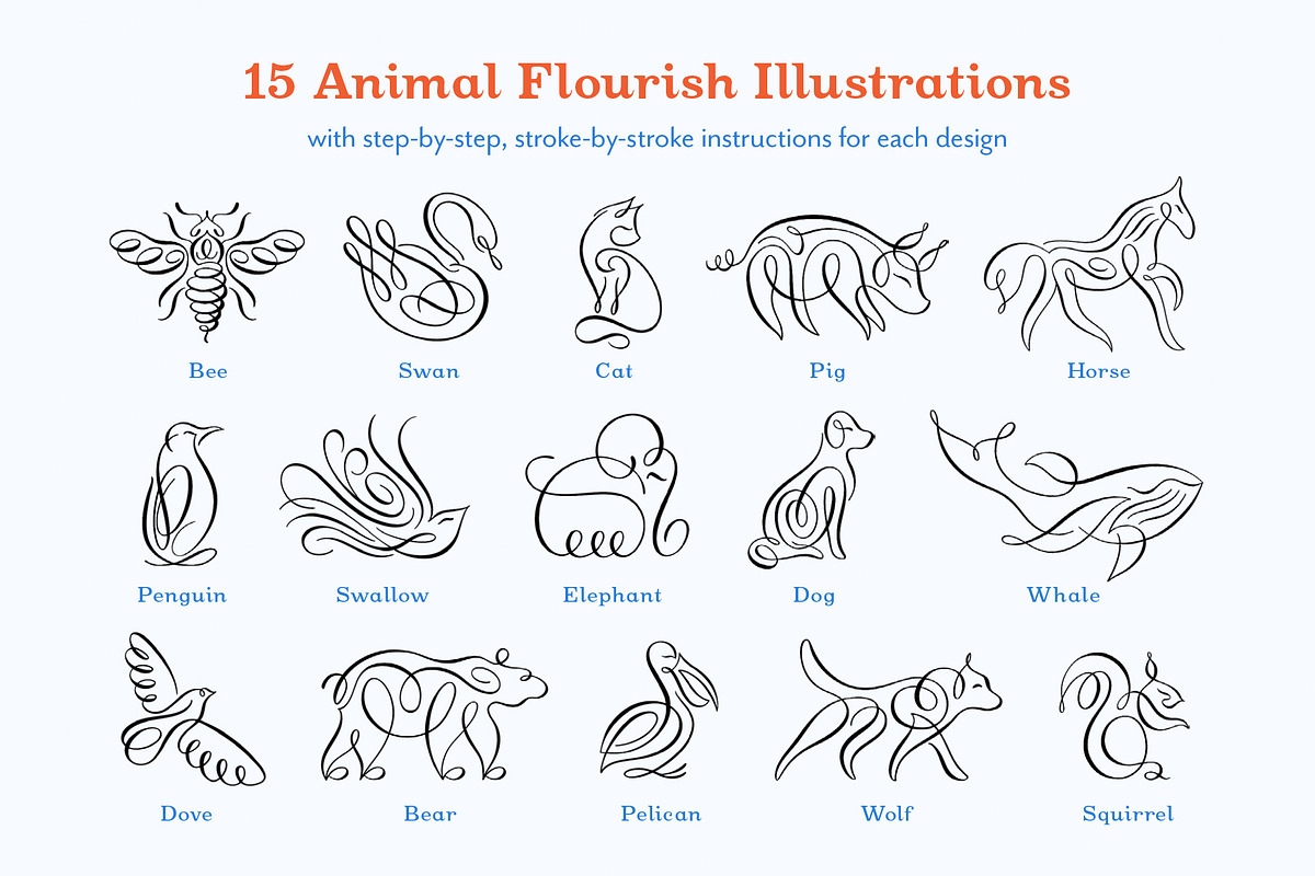 Animal Flourishes Procreate Workbook, an Animal Illustration by Molly Suber Thorpe (Photo 3 of 7)