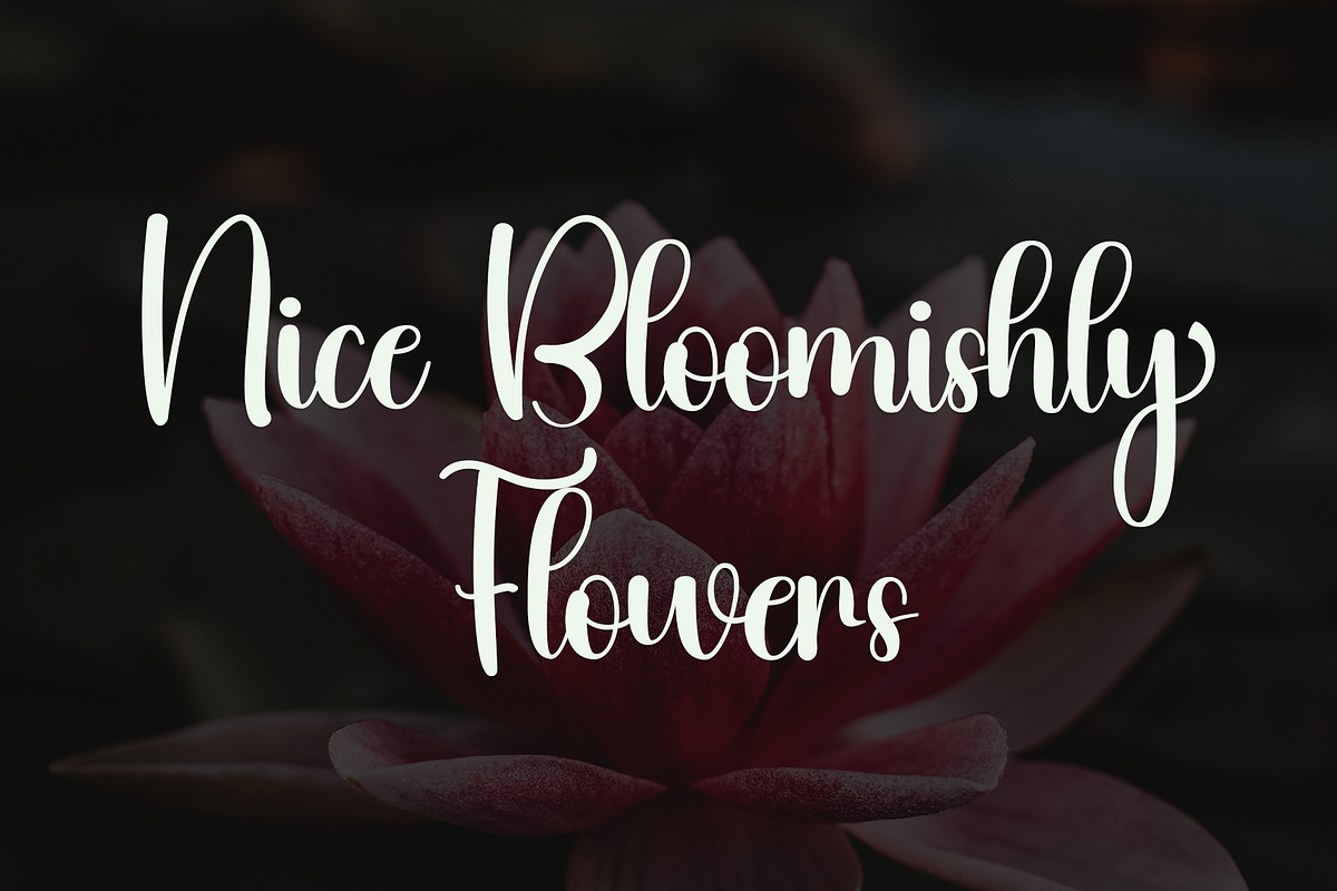 Bloomishly, a Handwritten Font by InermediaSTUDIO (Photo 3 of 6)