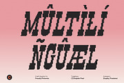 CS Ralphie Pixel, a Slab Serif Font by Craft Supply Co. (Thumbnail 5 of 8)