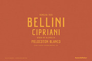 Old Lutz Cemetery, a Sans Serif Font by Komet & Flicker (Thumbnail 7 of 12)