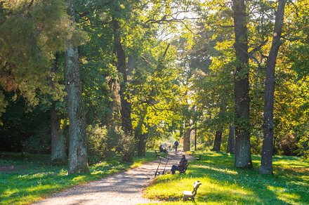 Autumn park and walking people, a Nature Photo by Vapi