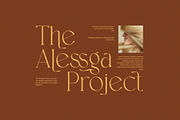 Sellon Elegant Serif Font, a Serif Font by Graphicxell (Thumbnail 4 of 8)