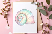 Sea Shells Clipart PNG, an Illustration by SinaCreation (Thumbnail 7 of 11)