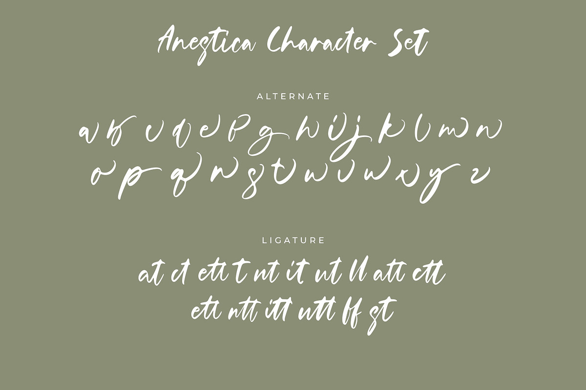 Anestica Natural Handwritten Font, a Script Font by RantautypeStudio (Photo 14 of 15)