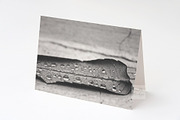 A2 Greeting card mockup invitation, a Cups & Container Mockup by Leo Flo Mockups (Thumbnail 2 of 4)