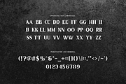 Aostiva - Modern Serif Font, a Serif Font by overlaytemplates (Thumbnail 4 of 5)
