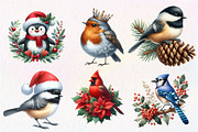 Christmas Birds Clipart, an Illustration by Dream Creation (Thumbnail 7 of 7)