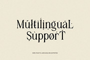 The Gold Bachelor Modern Serif Font, a Serif Font by Heinzel Std (Thumbnail 15 of 17)