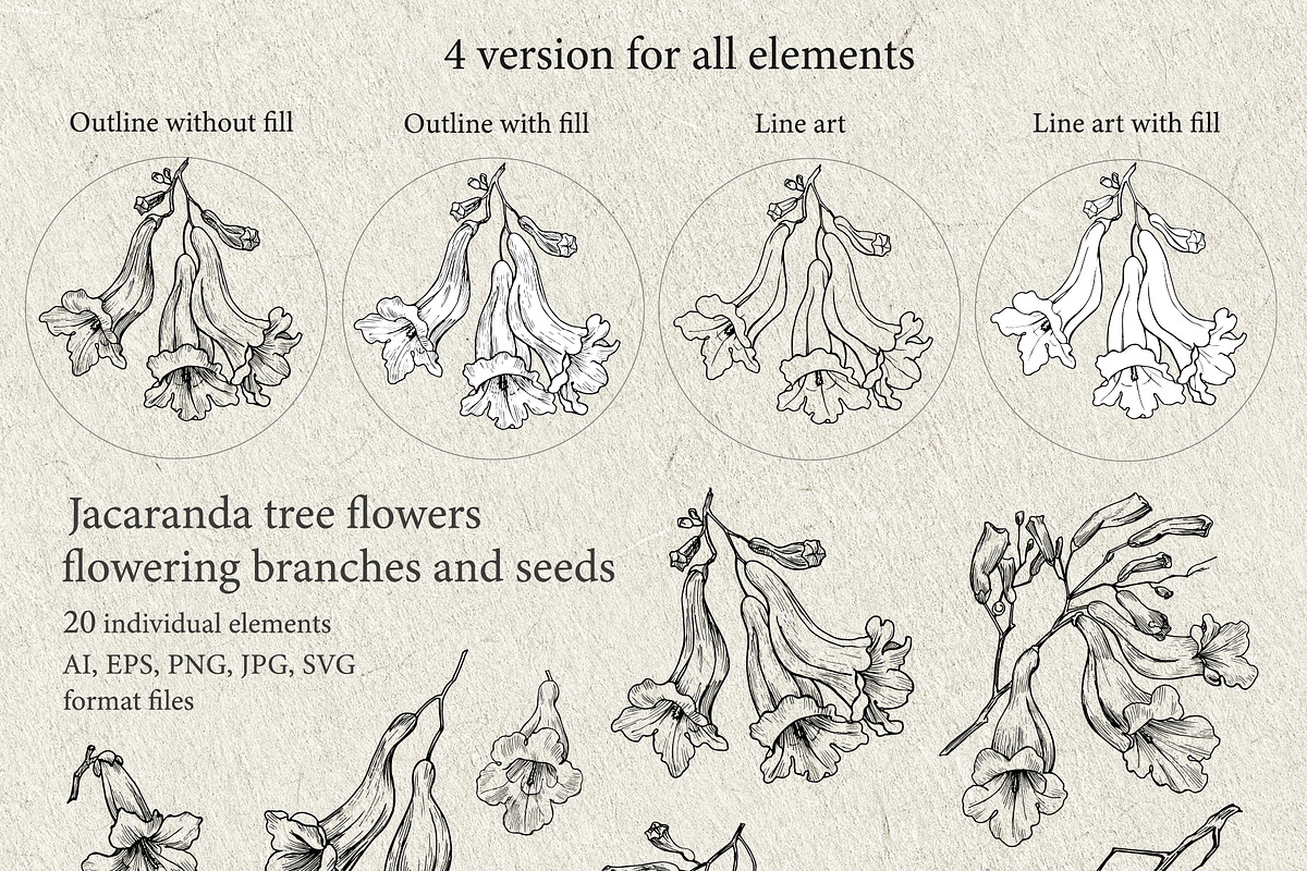 Flowers of Jacaranda. Botanical Set, a Decorative Illustration by ON_lineart_store (Photo 4 of 10)