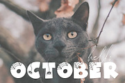Spooky | Fun Halloween Font, a Font by KA Designs (Thumbnail 8 of 10)
