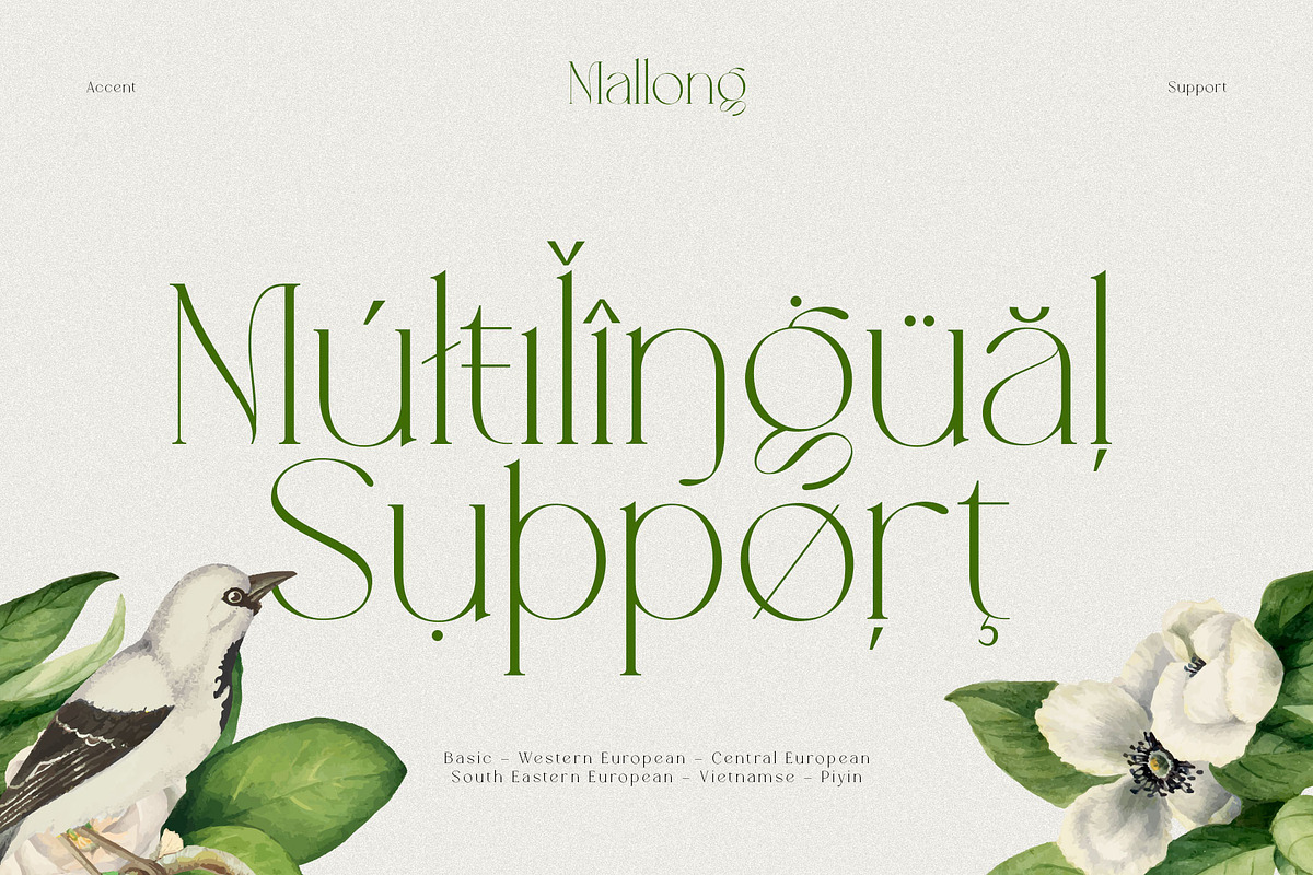 Mallong Typeface, a Serif Font by alit design (Photo 16 of 17)