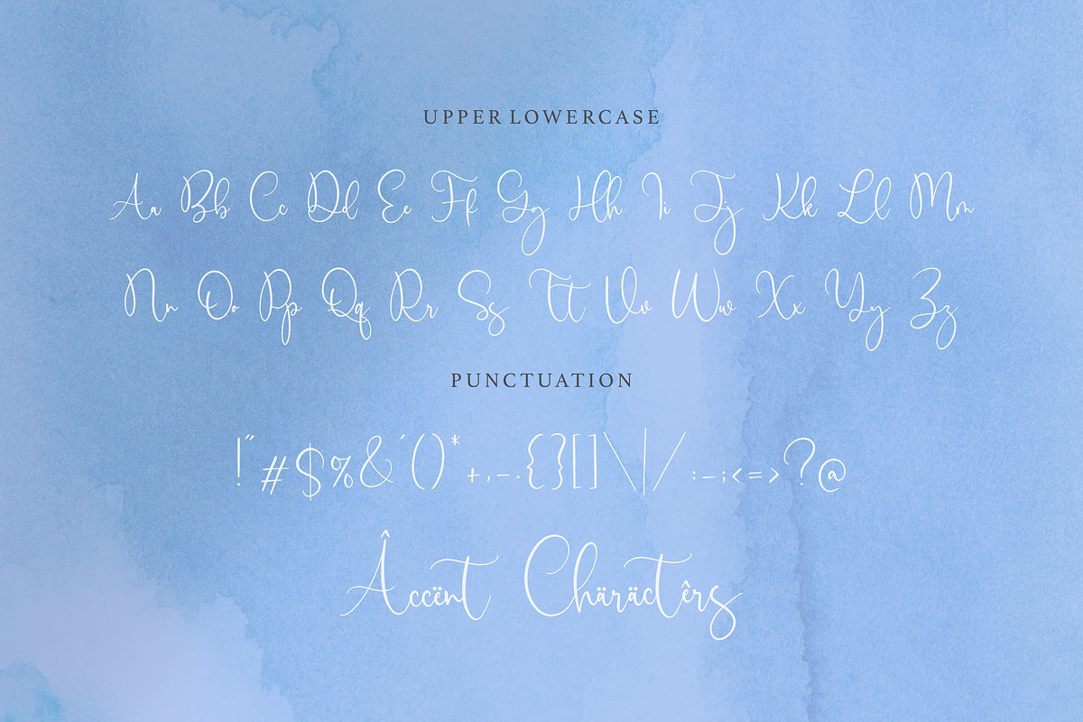 Birdwatch - Luxury Calligraphy Font, a Script Font by Letterative Studio (Photo 6 of 7)