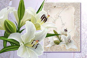 set of white lilies