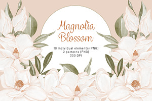 Magnolia Watercolor Clipart Flowers