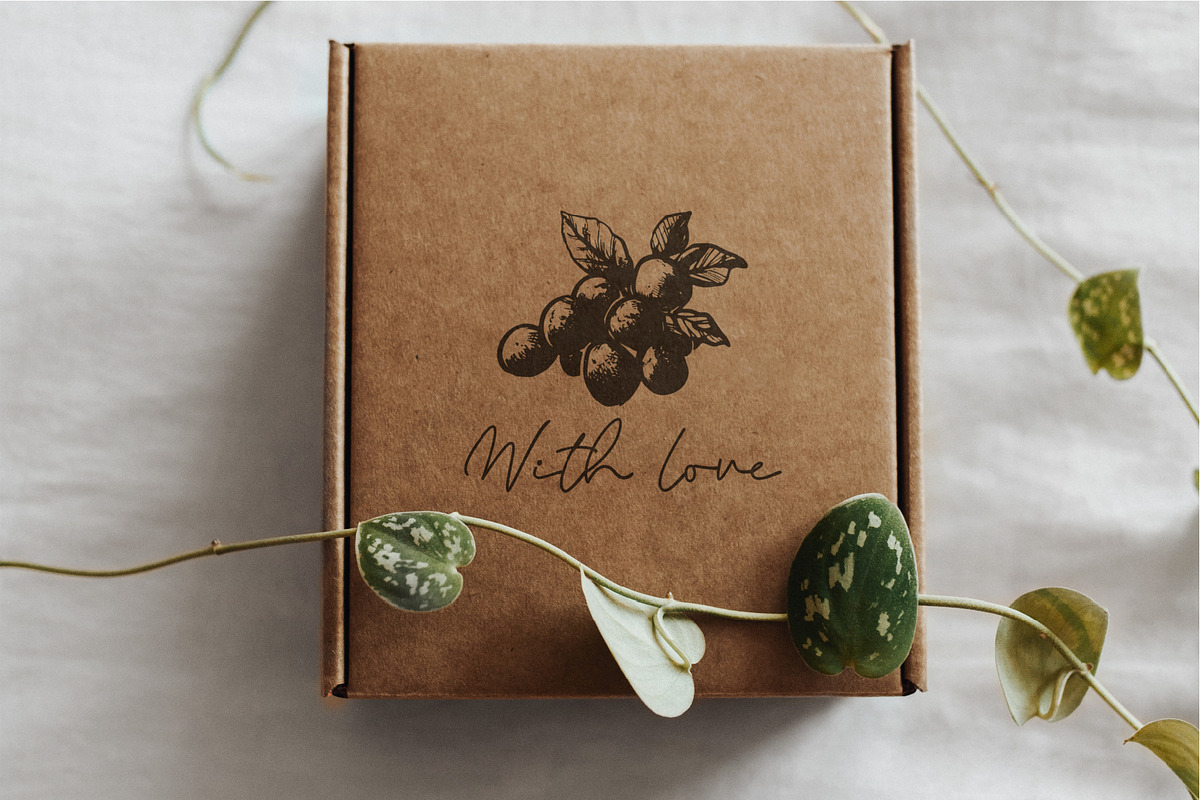 275+ Fruits & Berries Illustrations, a Food Illustration by La Petite Line Art (Photo 6 of 11)