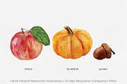 Autumn/Fall Watercolor Illustrations, an Illustration by Jeanette Pidi Design (Thumbnail 2 of 5)