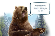 Aggressive bear, an Animal Illustration by Countryside life (Thumbnail 3 of 5)