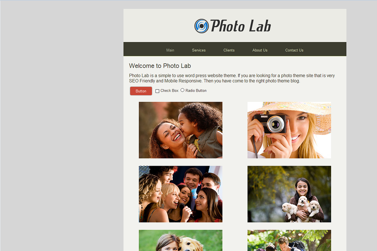 Photo Lab, a WordPress Template by Web Pro Media Inc (Photo 2 of 3)