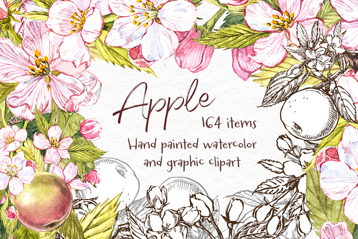 Apple Graphic & Watercolor clipart, a Healthcare Illustration by Ann Astro (Photo 1 of 5)