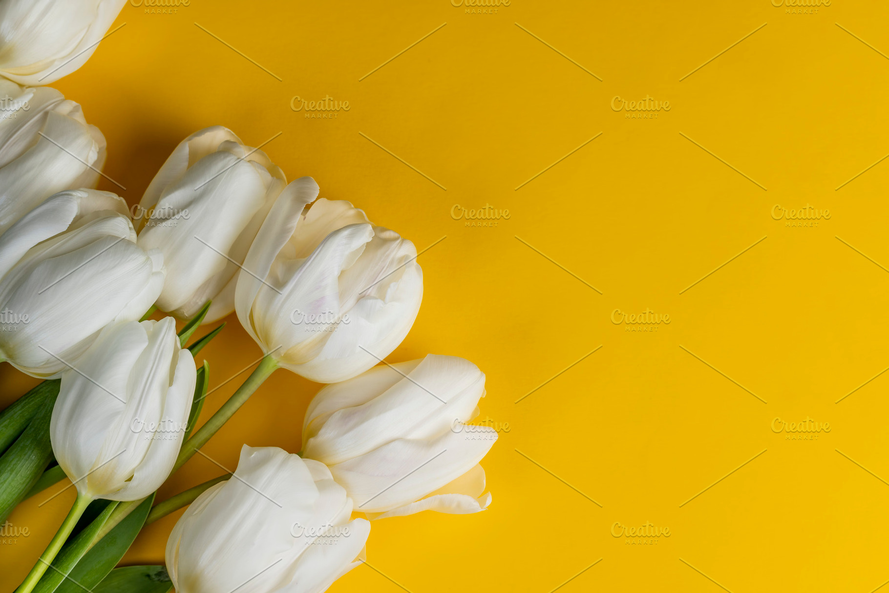 white tulips on yellow paper, yellow paper and white tulip flowers, Real white, a Photo by rsoollAI