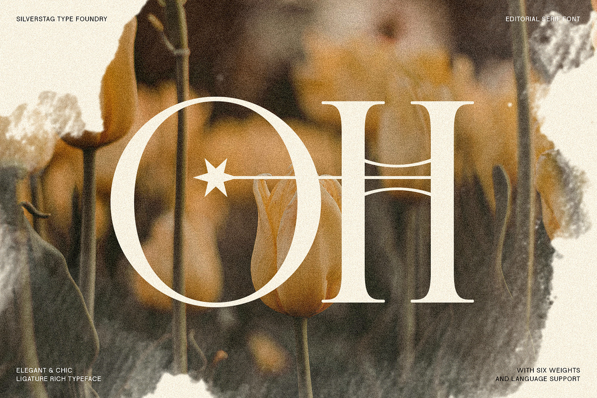 Cosmic Solace - Ligature Typeface, a Serif Font by SilverStag Type Foundry (Photo 2 of 30)