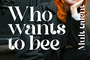 Chan Romance, a Serif Font by zaaintype (Thumbnail 9 of 11)