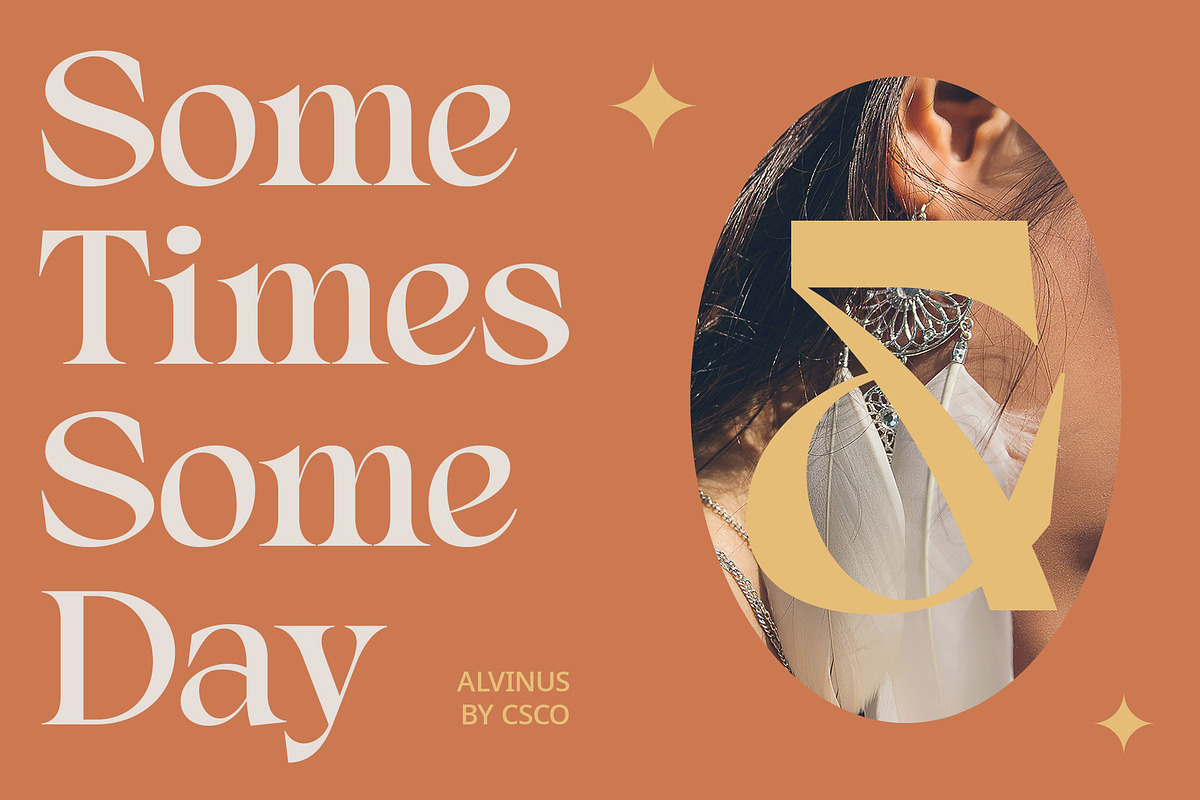 Alvinus – Elegant Font, a Serif Font by Craft Supply Co. (Photo 2 of 8)