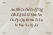 Raillouise Stylish Script Font, a Script Font by Heinzel Std (Thumbnail 11 of 16)