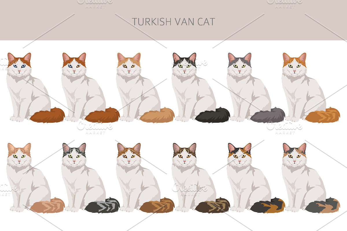 Turkish Van cat clip art, an Animal Illustration by pet design shop (Photo 3 of 5)