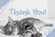 Dainty Cute - Playfull Font, a Script Font by ArtiXLabs (Thumbnail 11 of 11)