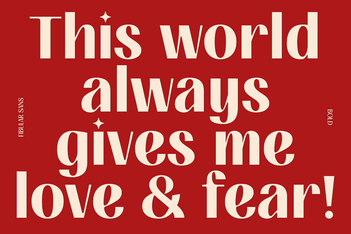 FIBULAR SANS - Variable Display Type, a Sans Serif Font by Artflorara (Photo 12 of 23)