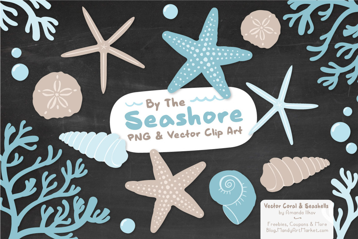 Soft Blue Vector Seashells, an Illustration by Amanda Ilkov (Photo 3 of 5)