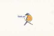 Birds of North America part 3, an Animal Illustration by Art & Things (Thumbnail 8 of 8)