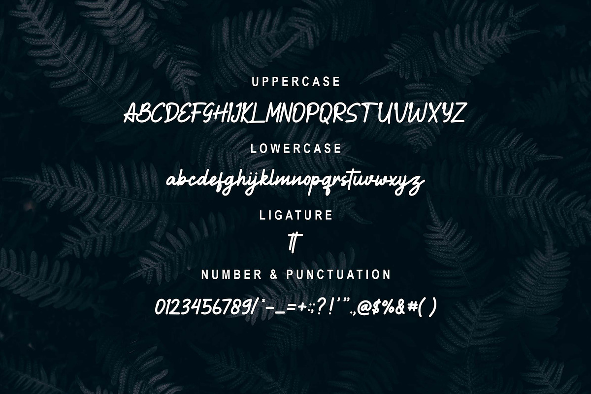 Battako Font, a Script Font by Zelda Graphic (Photo 5 of 6)