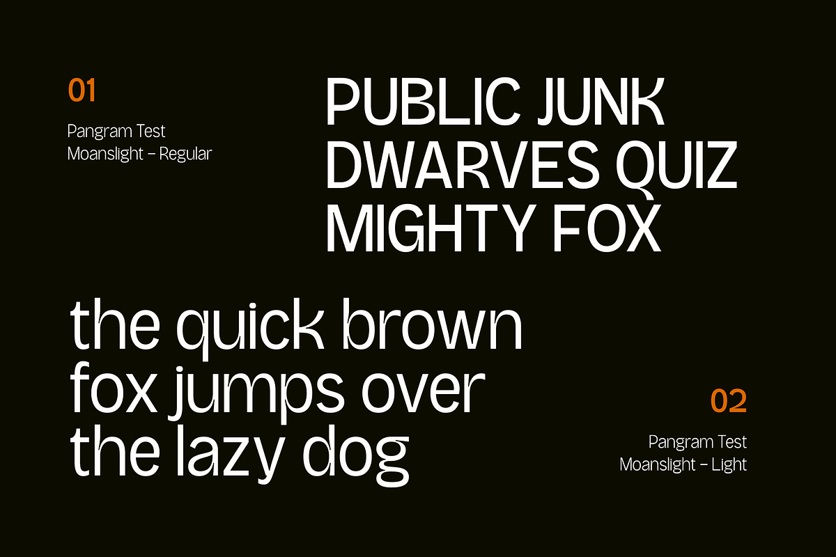 Moanslight - Modern Grotesque, a Sans Serif Font by Holyline Design (Photo 6 of 15)