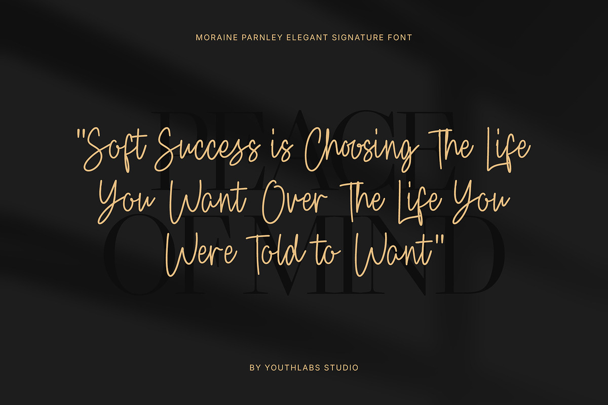 Moraine Parnley - Elegant Signature, a Handwritten Font by Youthlabs Studio (Photo 5 of 12)