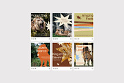 Roar For Lions - Instagram Post, a Social Media Template by Izdihaar_Studio (Thumbnail 4 of 4)