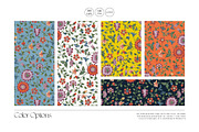 Zari Prints & Motifs, a Pattern Graphic by Pink Linen (Thumbnail 4 of 10)