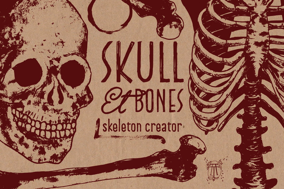 Skeleton Creator - Front & Profile, an Illustration by Andrea Tardivo (Photo 1 of 5)