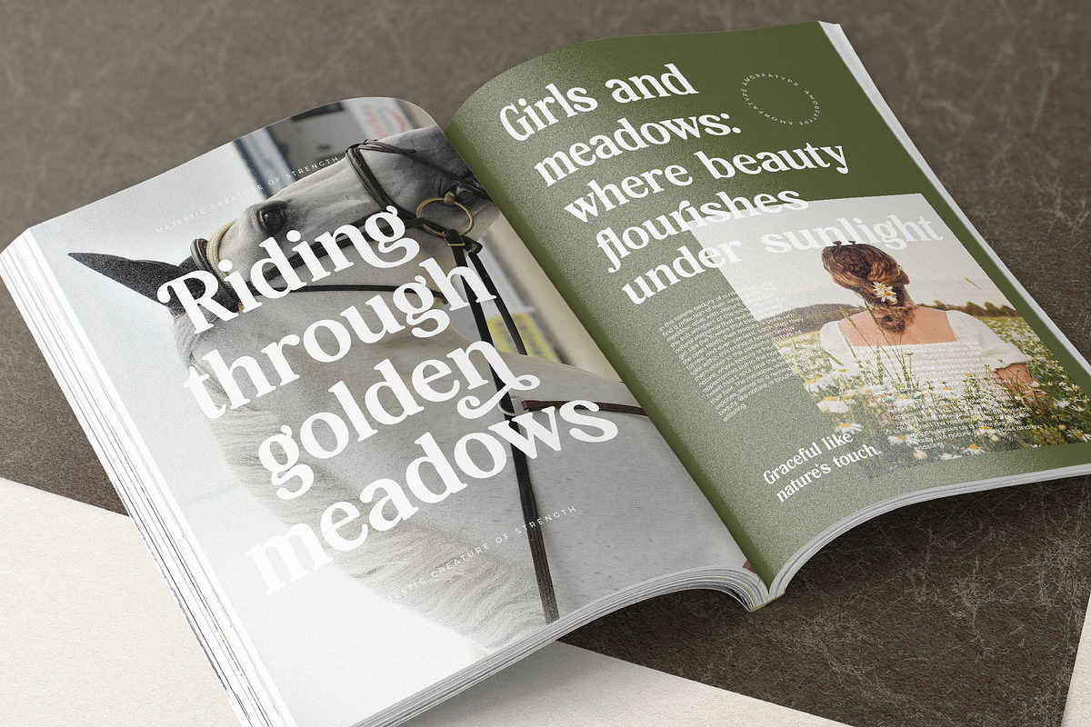 Hasbor Modern Alternate Serif Font, a Serif Font by AmorfaType (Photo 6 of 11)